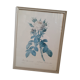 Litho rose Four seasons Lelieux