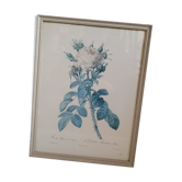 Litho rose Four seasons Lelieux