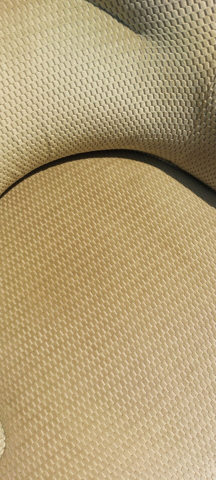 Frog chairs
