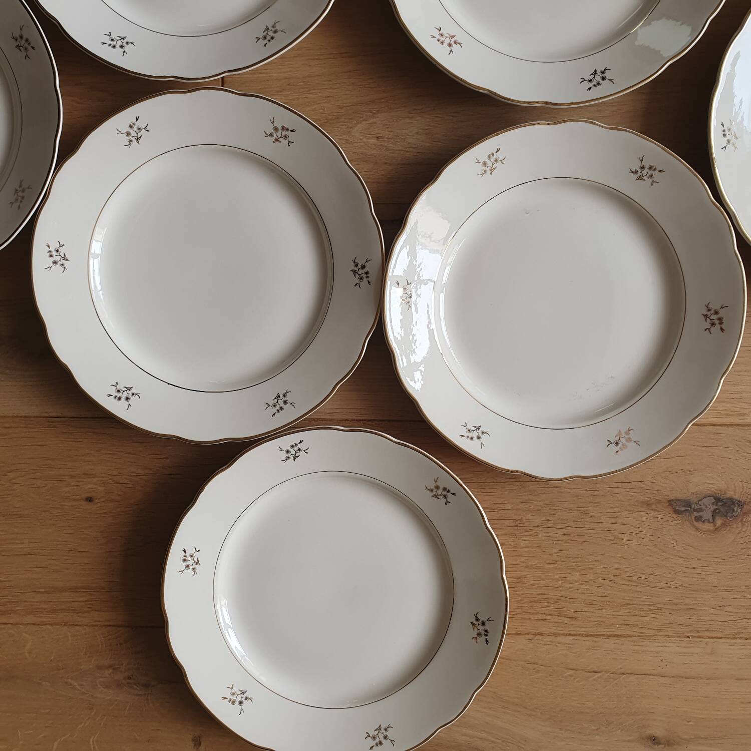 Set of 8 Villeroy and Boch dinner plates