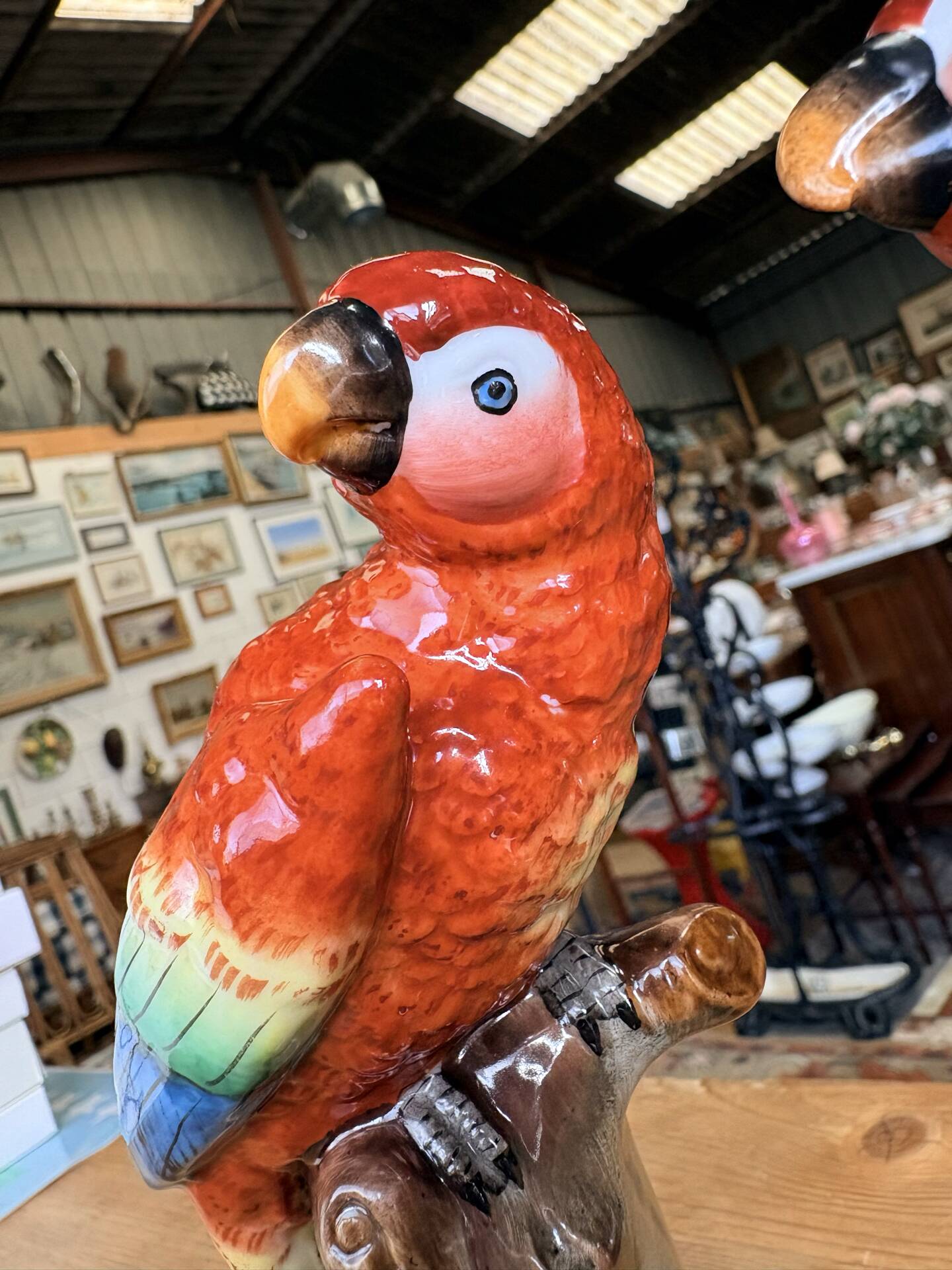 Pair of porcelain parrots Sitzendorf – Germany