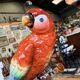 Pair of porcelain parrots Sitzendorf – Germany