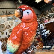 Pair of porcelain parrots Sitzendorf – Germany