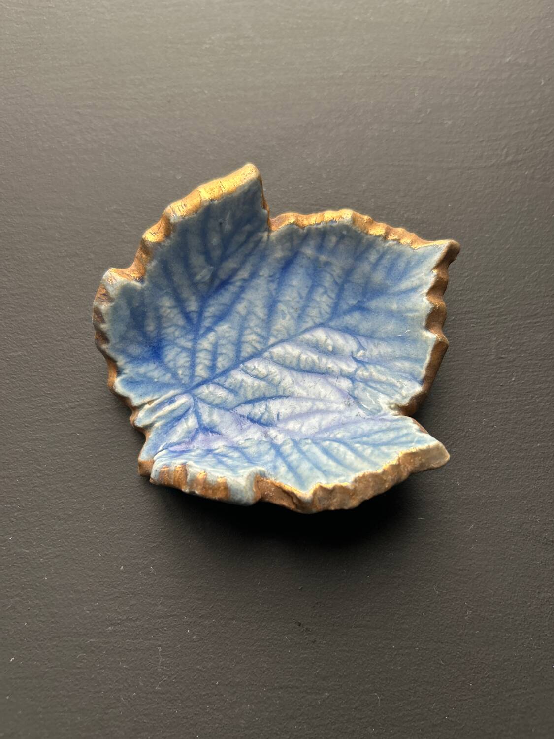 Small Accolay ceramic leaf pocket