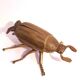 Ashtray with lid in the shape of a beetle in gilt bronze