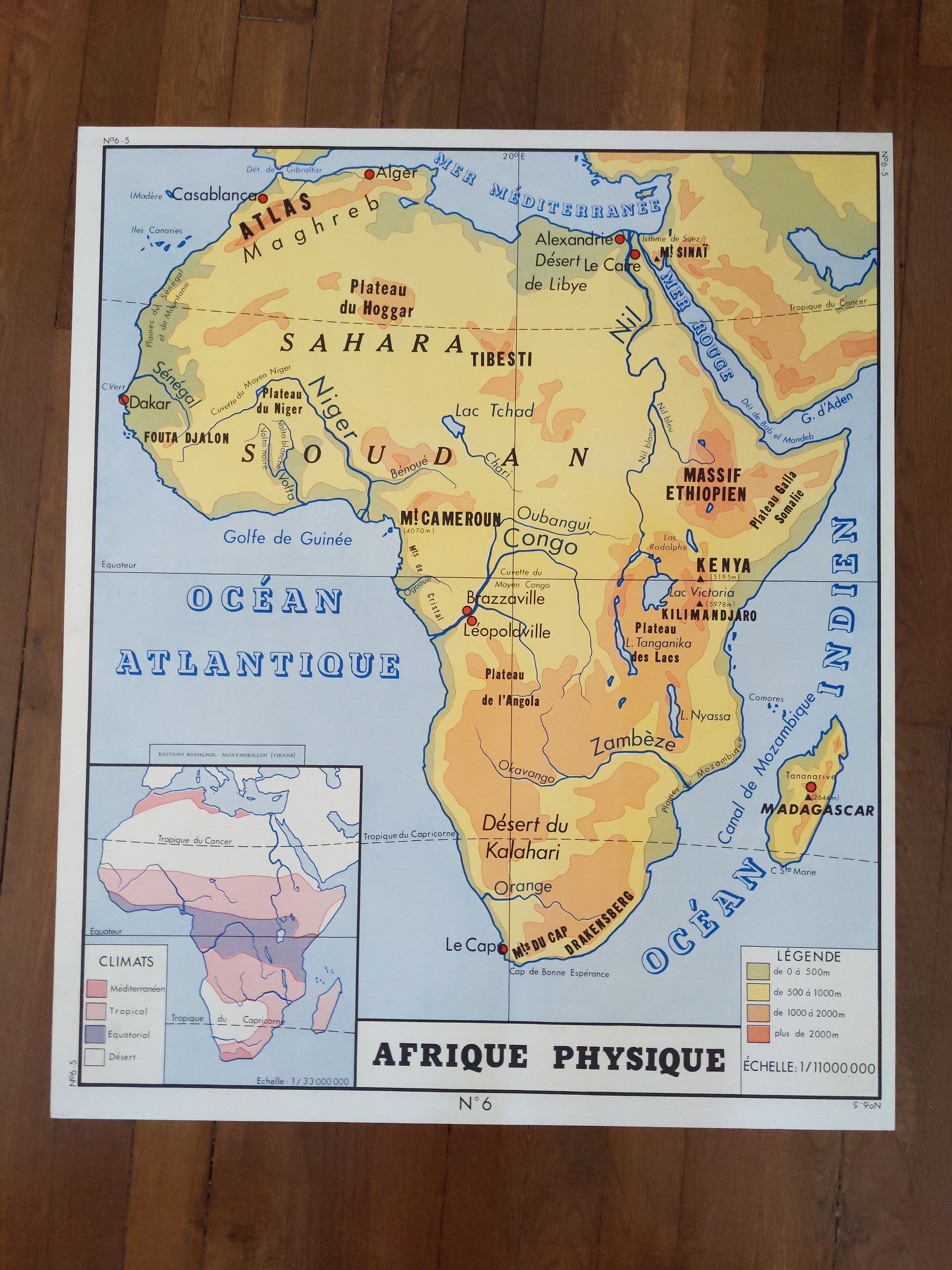 Old vintage school poster 60s nightingale Europe and Africa
