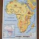 Old vintage school poster 60s nightingale Europe and Africa