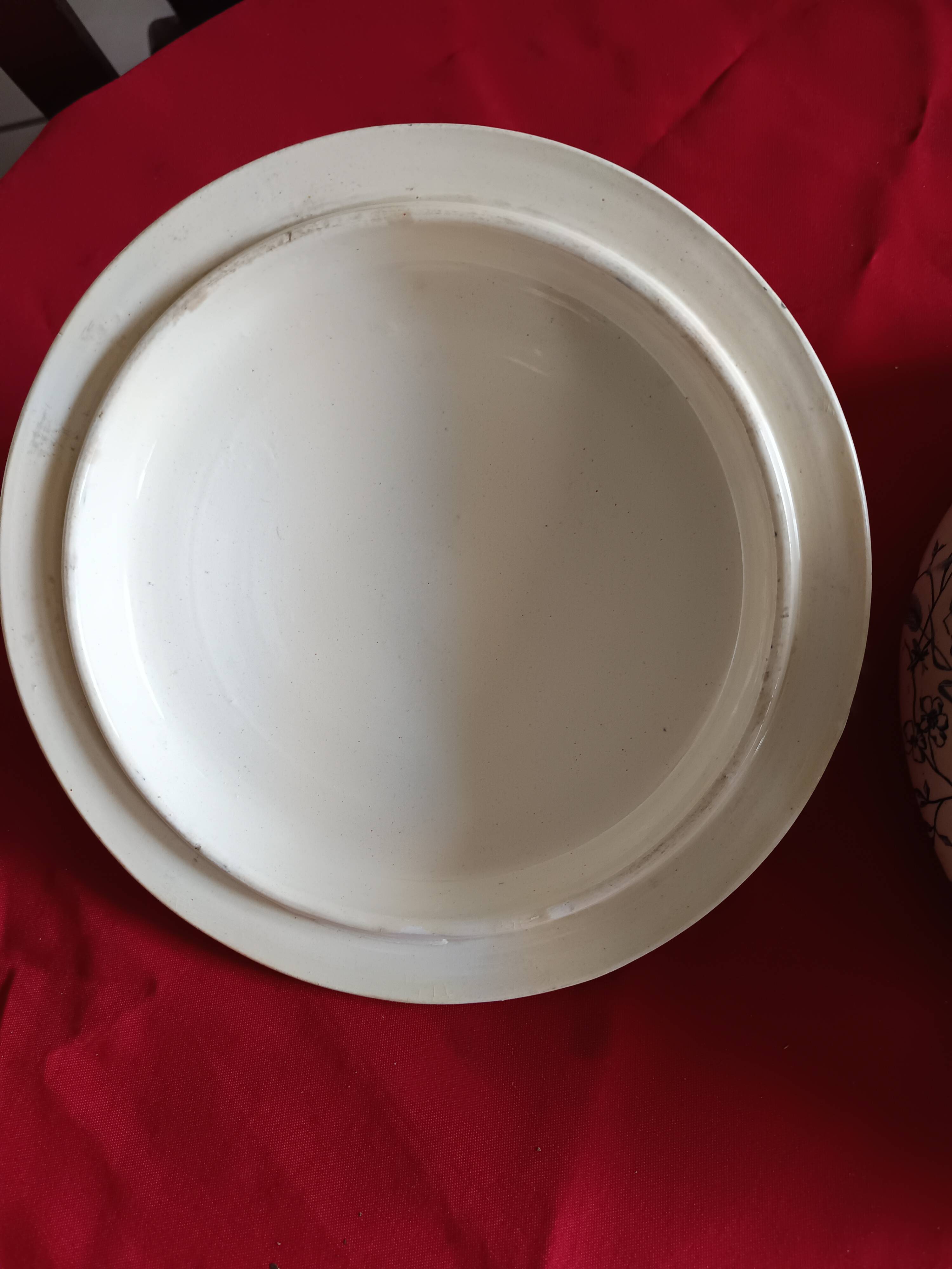 antique soup tureen Terre de Feu 1920/1930 with a decoration of birds and insects