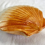 Terrine Caugant slurry scallops