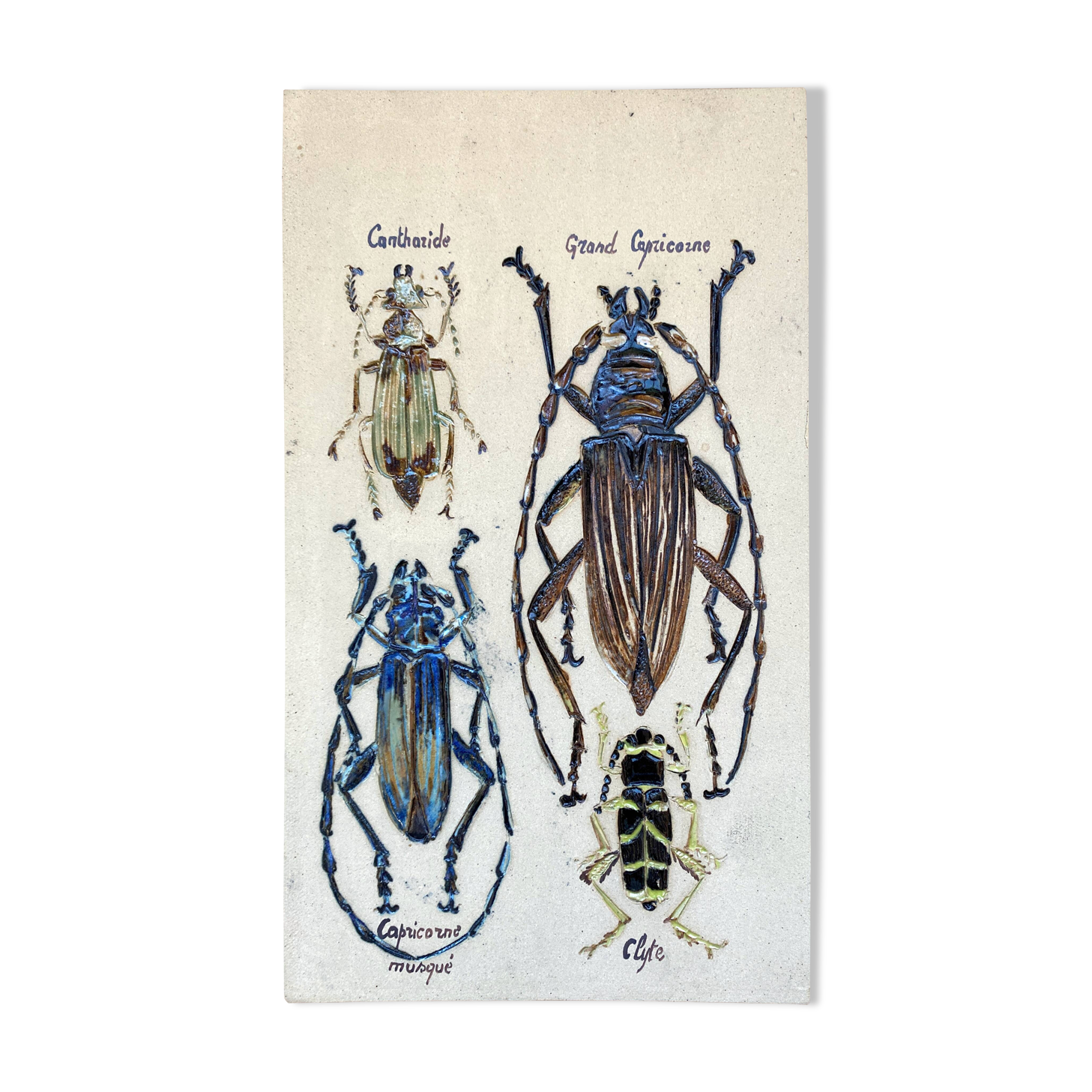 Bas relief painting / earth Beetle entomology A. Prudhomme Cabinet of curiosities