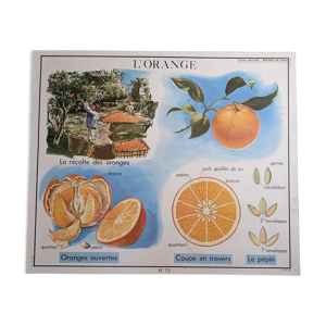 Ancienne affiche scolaire