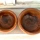 Bols gigognes vintage en bois d’olivier