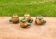 4 slip pots depicting a pepper, early 20th century