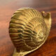 Vintage brass snail