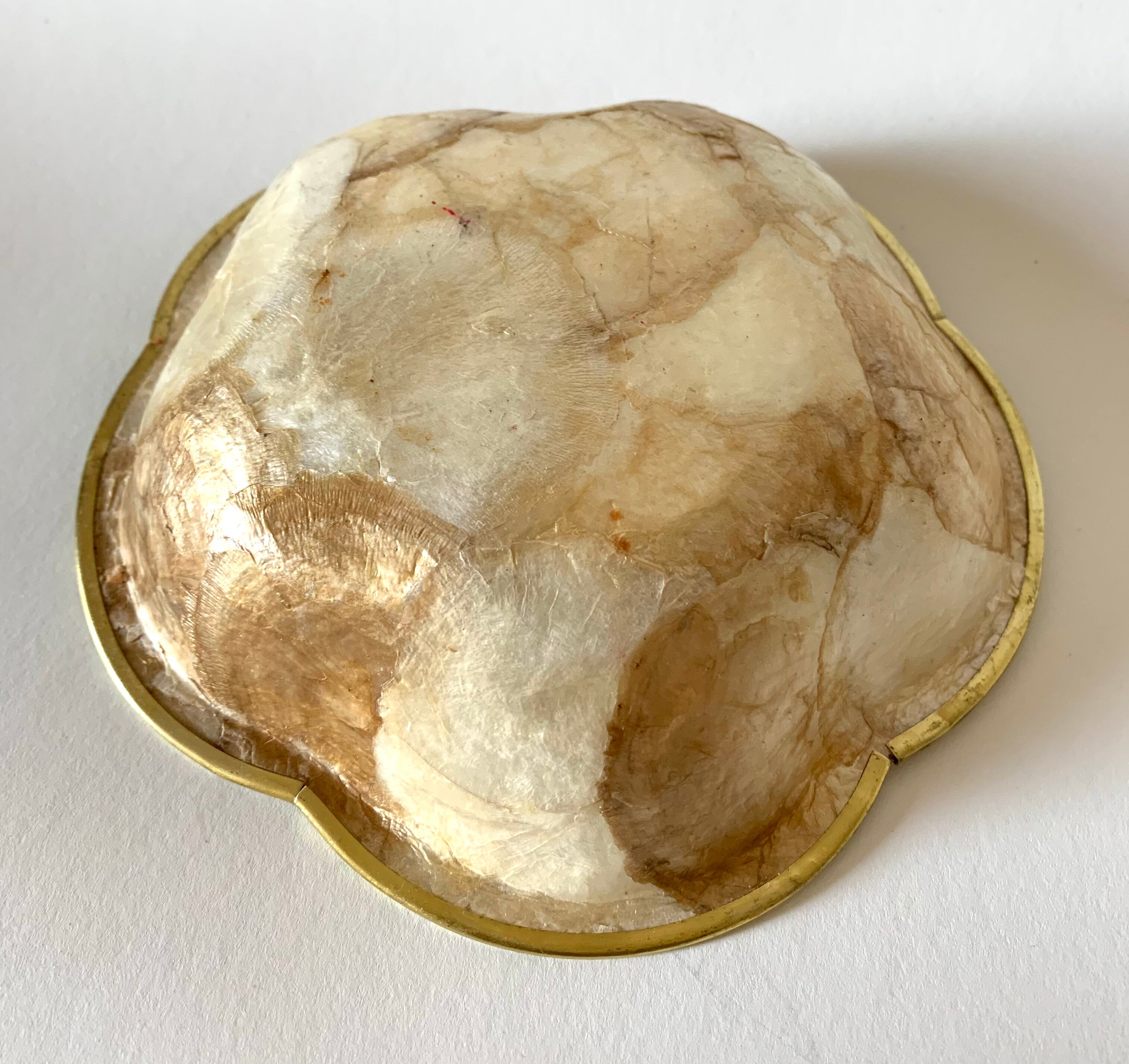 Small empty mother-of-pearl pocket