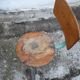 Old monobloc children's desk