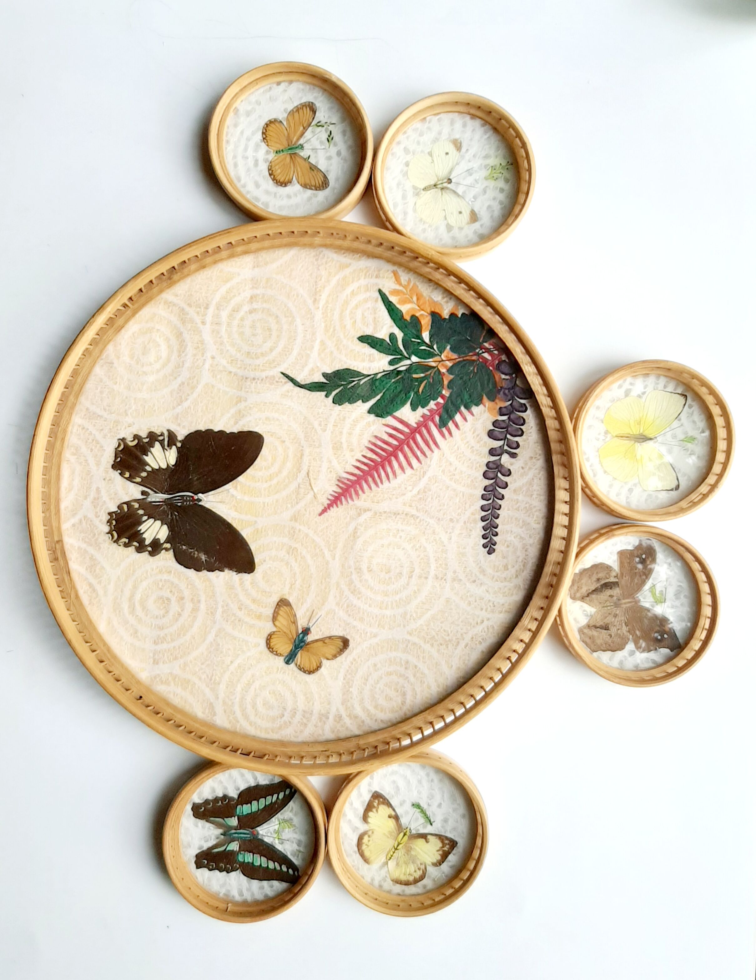 Butterfly tray and 6 coasters