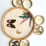 Butterfly tray and 6 coasters