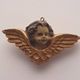 Angel head with wings, probably late 19th century (France, 1850-1900)