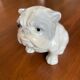 Chien en porcelaine Harvey Knox