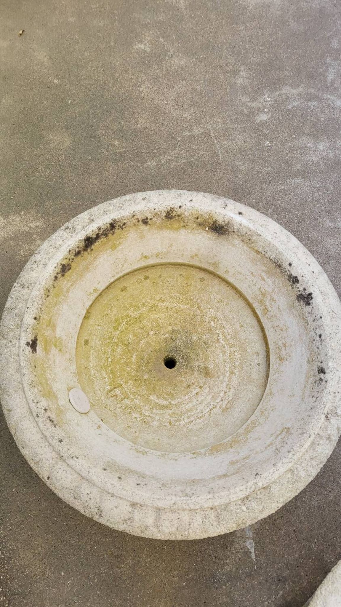 Pair of medicis vases in old reconstituted stone 1950s