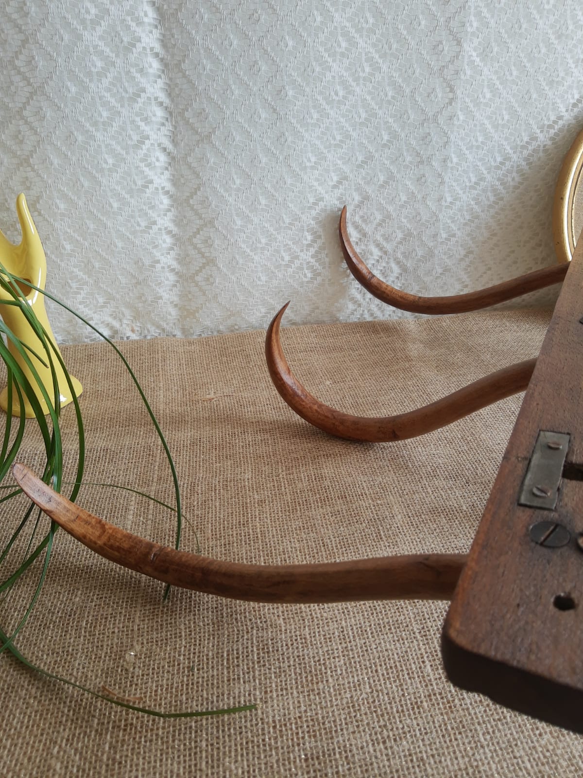 Wall coat rack