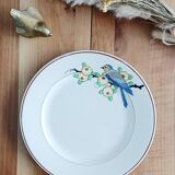Longwy flat plate, Bird