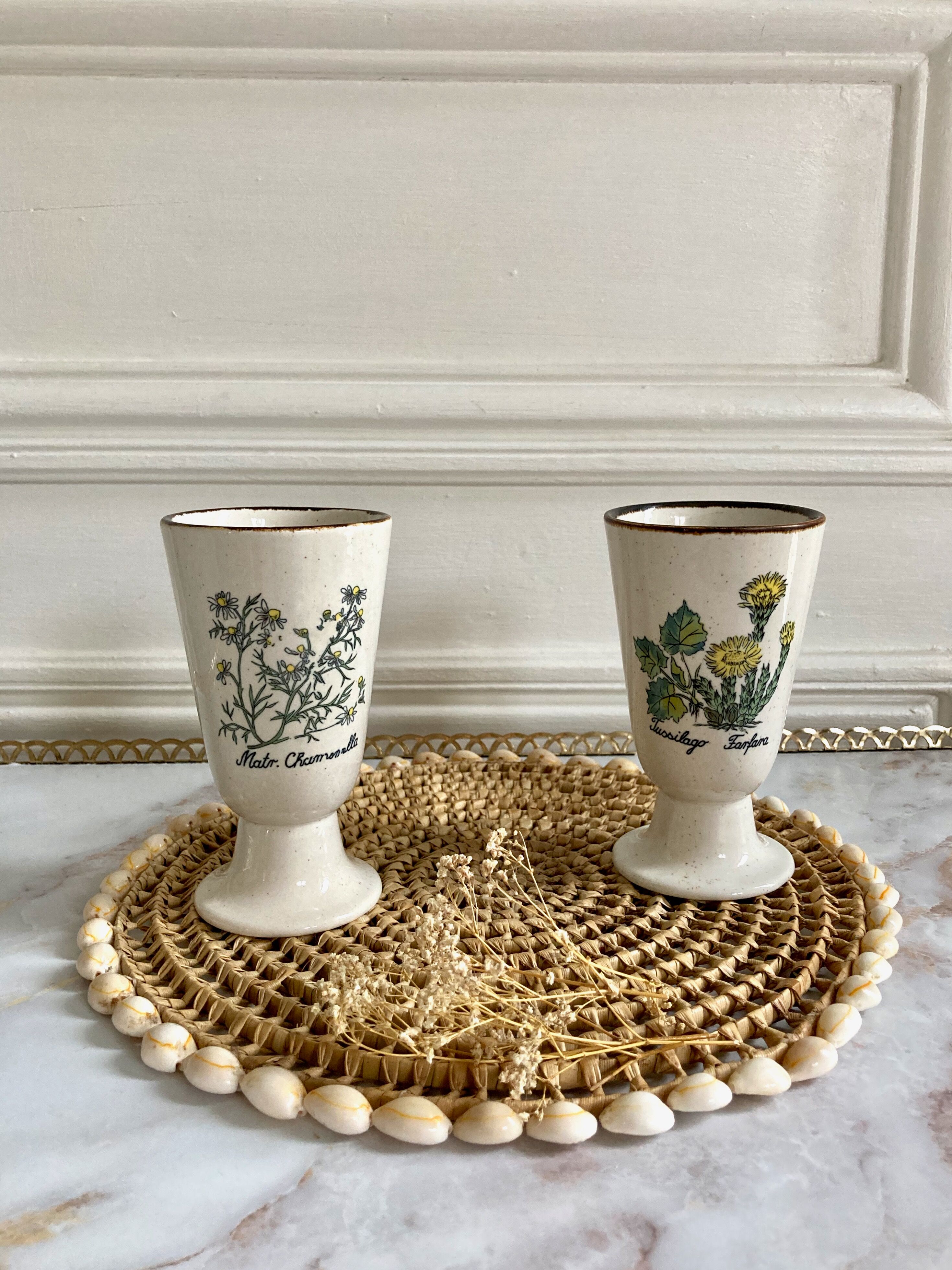 Paire de mazagrans tasses herbier