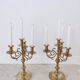 Pair of four-light candle holders in gilded brass