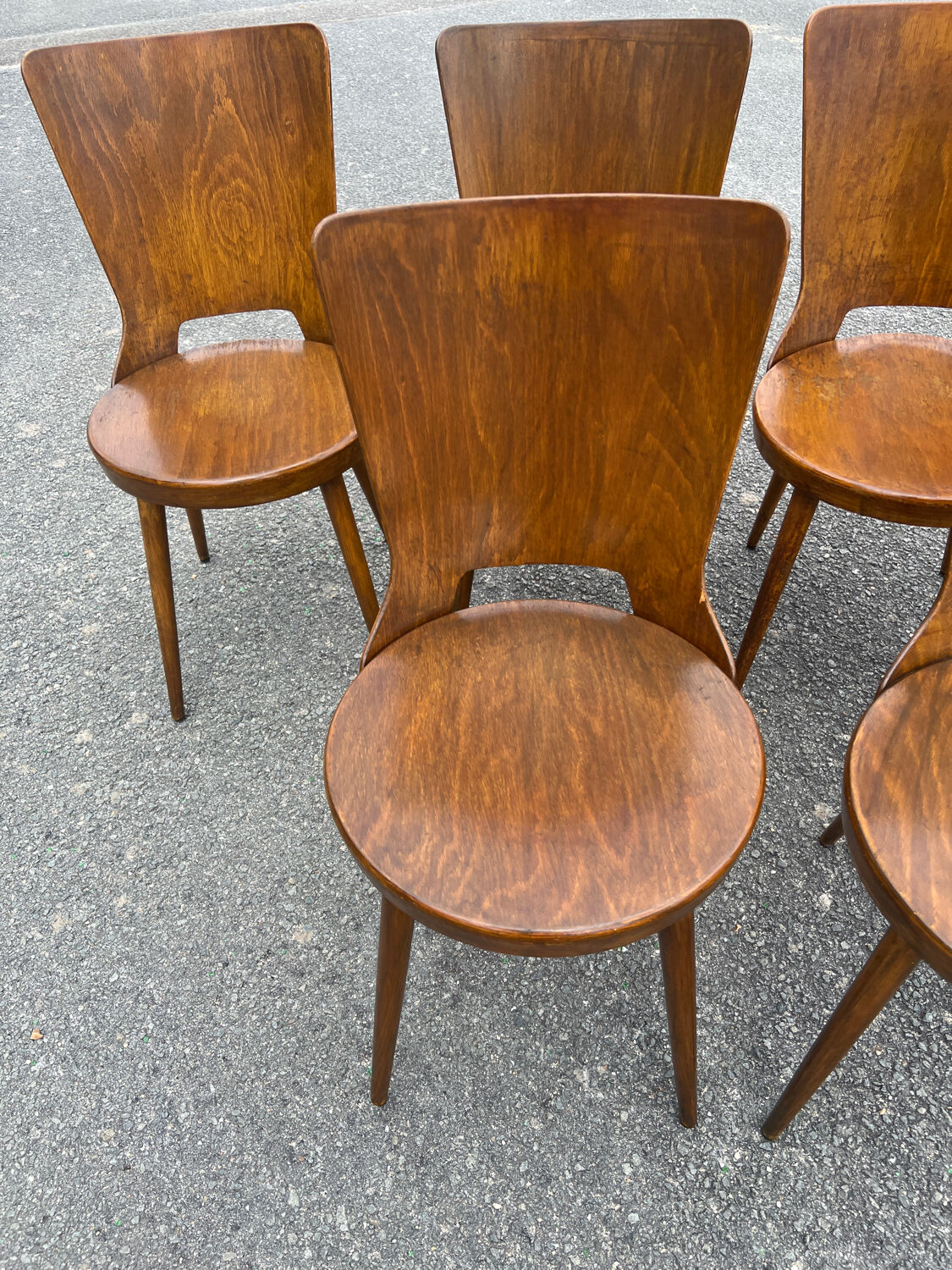 Suite of 6 Baumann chairs Dove model