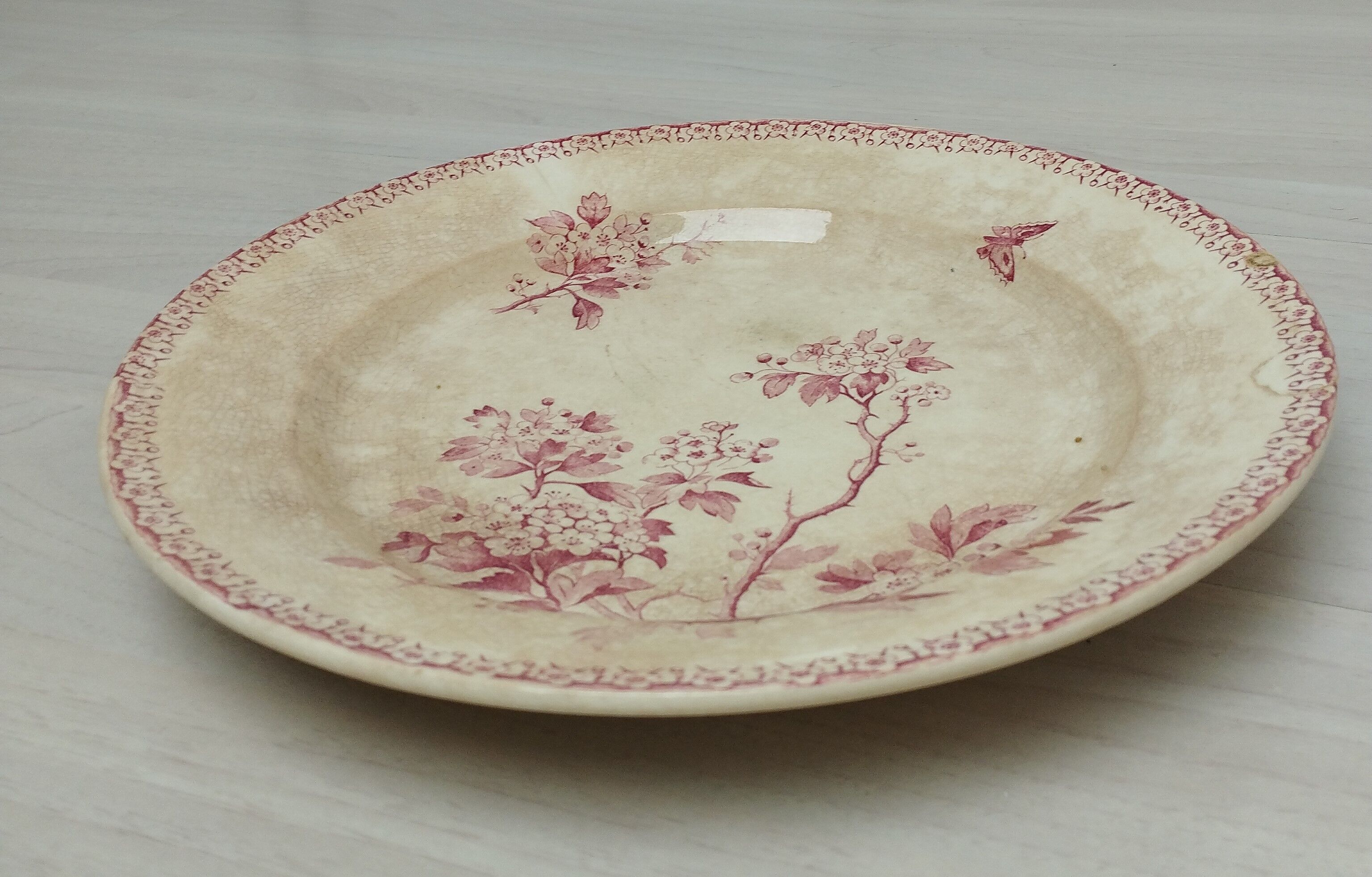Round plate in iron earth of Gien model Pink Hawthorn
