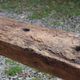 Old solid wood workbench – character console, thick top – 165 cm