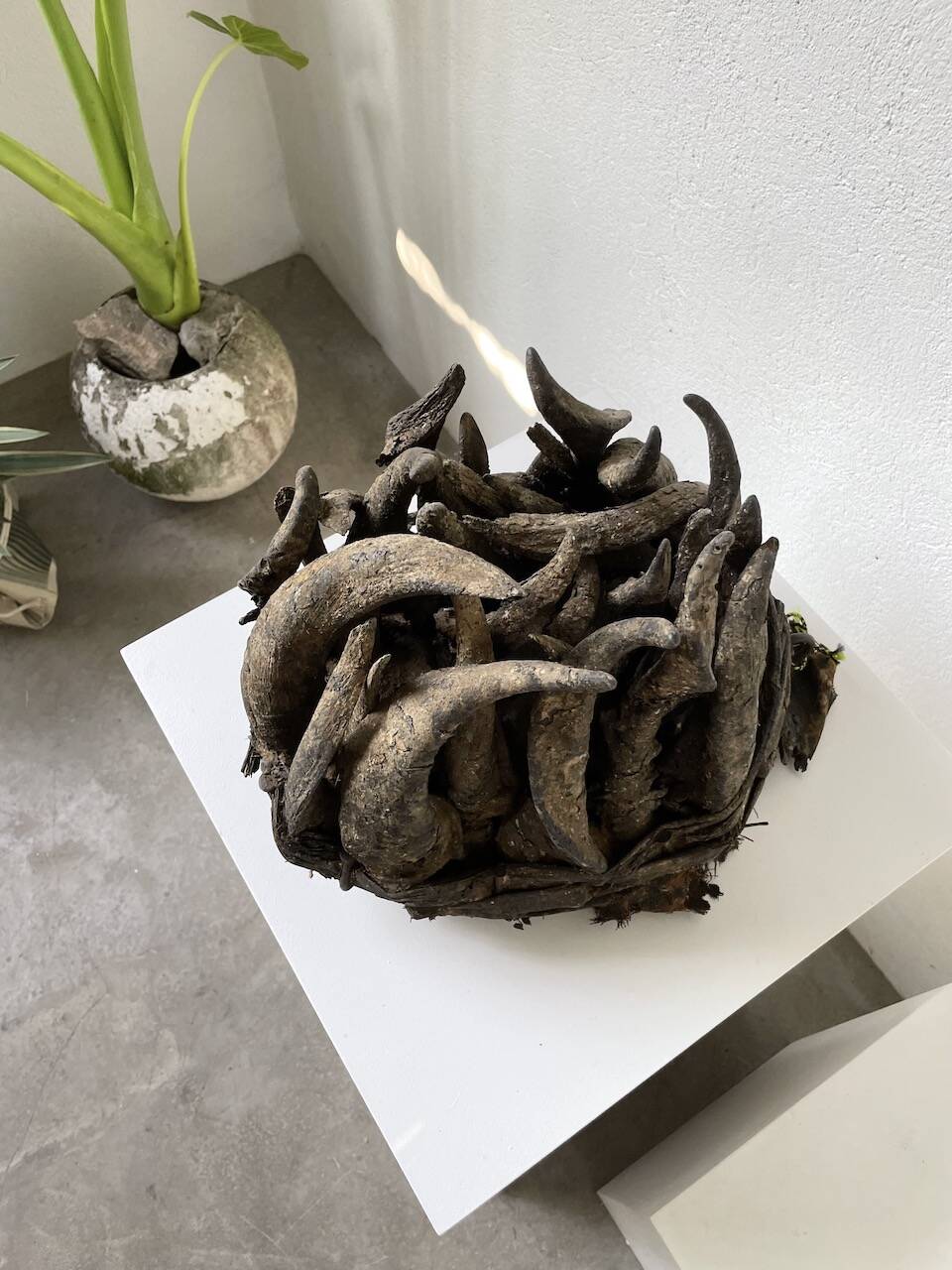 Bété Nyabwa mask Ivory Coast