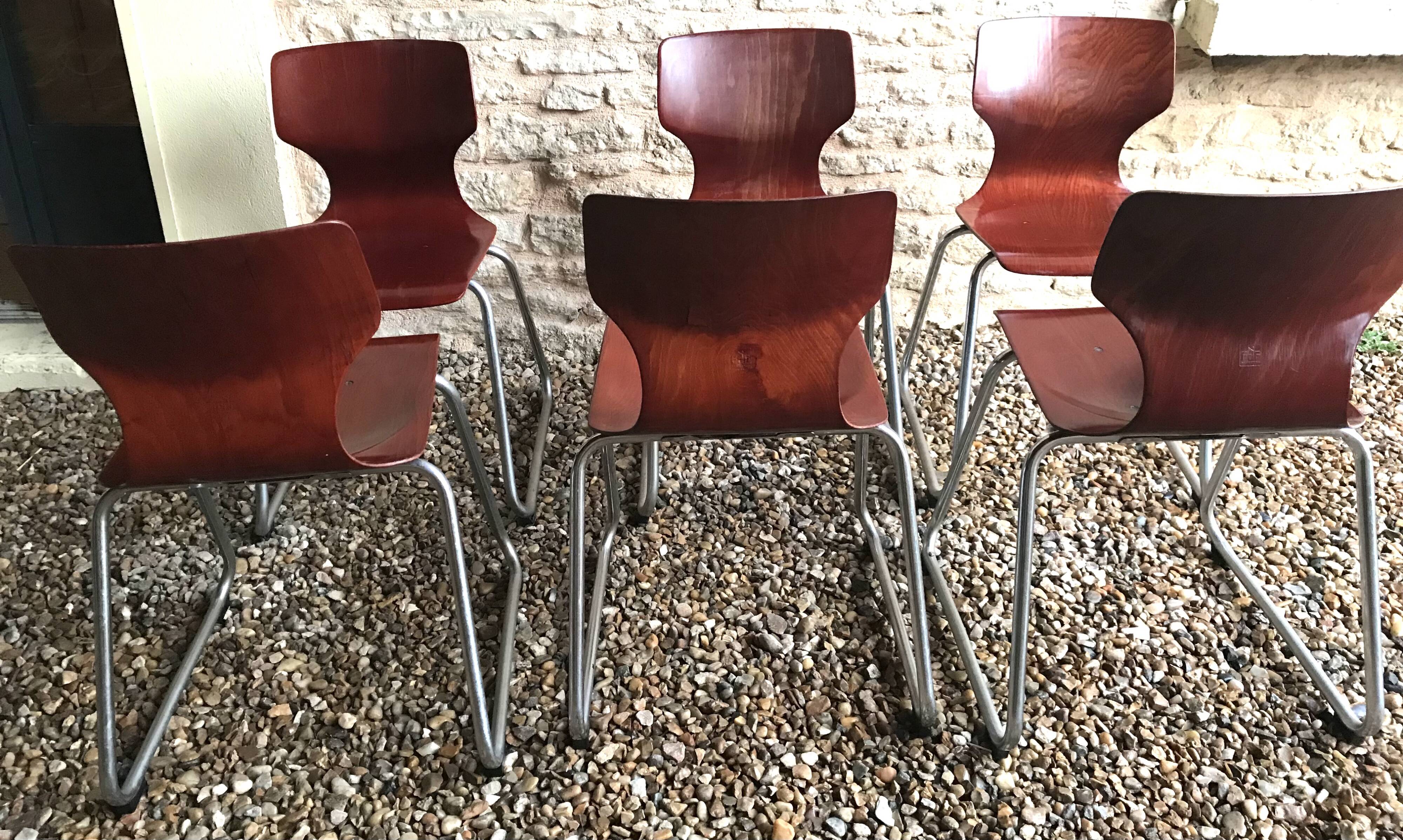 Set of 6 vintage Pagholz Flötotto stackable chairs in Pagwood
