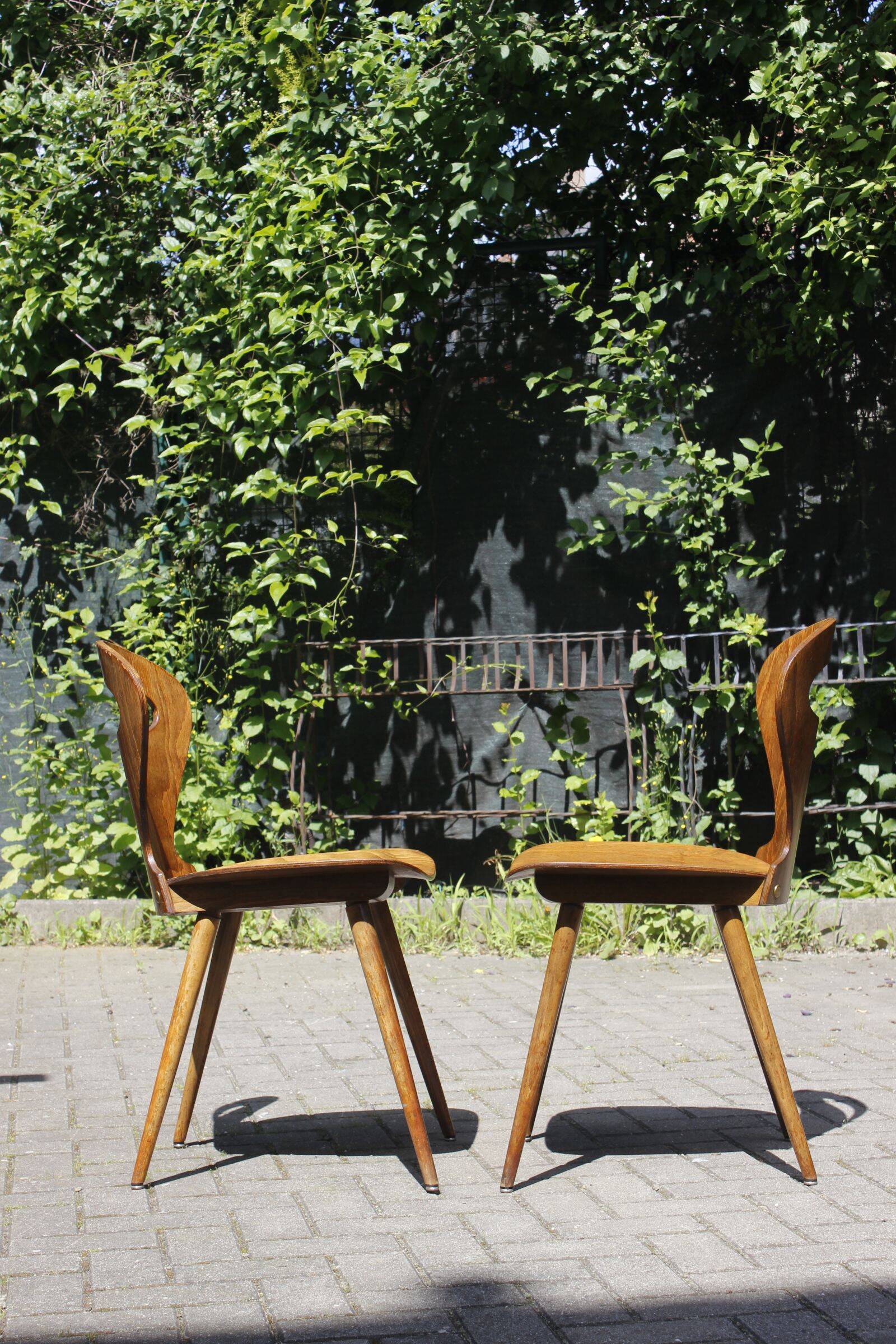 Pair of "Fourmi" bistro chairs Baumann France 1960s