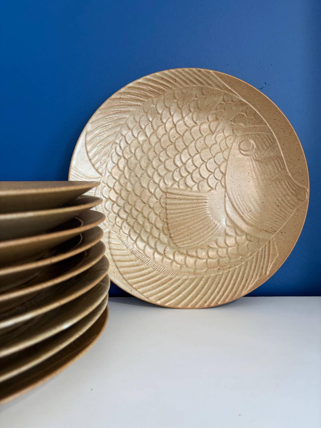 Service of 10 vintage stoneware fish plates from the village, made in France - stoneware plate with relief for serving fish.
