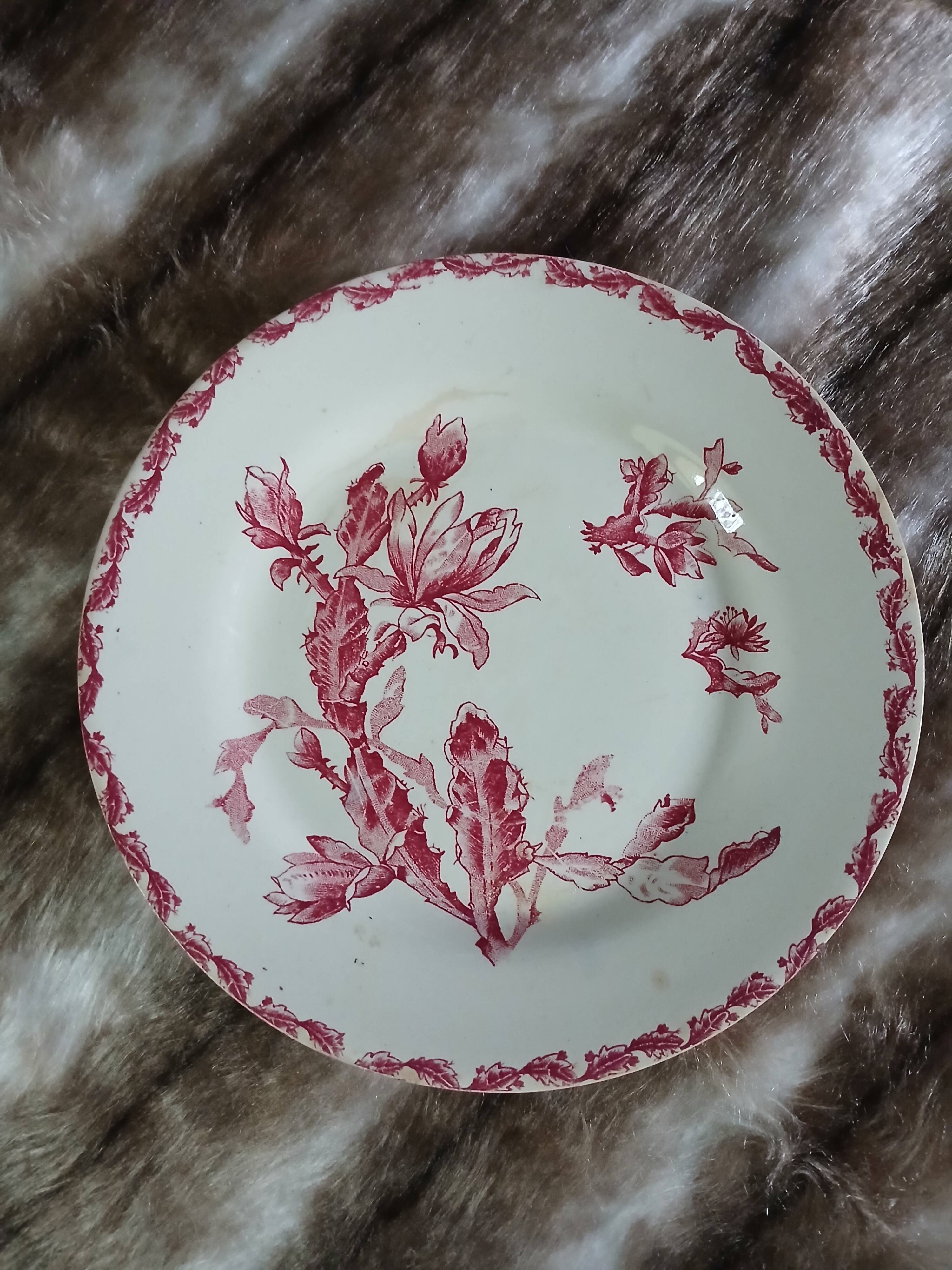 10 assiettes plates anciennes en Terre de fer