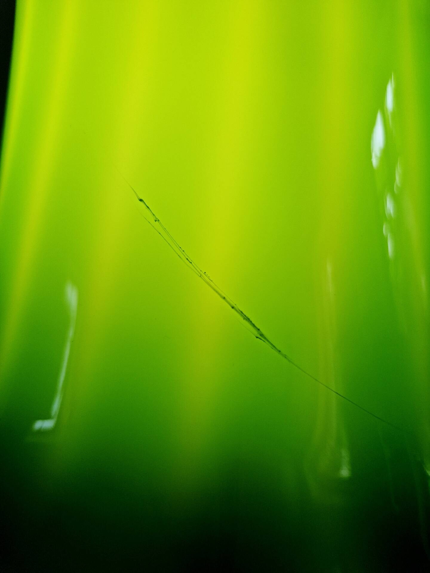 Suspension in green opaline with a scalloped edge, Peill & Putzler, 1970
