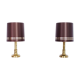 Pair of lamp Wortmann and Filz years 50/60