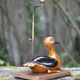 Lampe canard avec abat-jour, lampe à poser, lampe abat-jour, lampe de salon, duck lamp