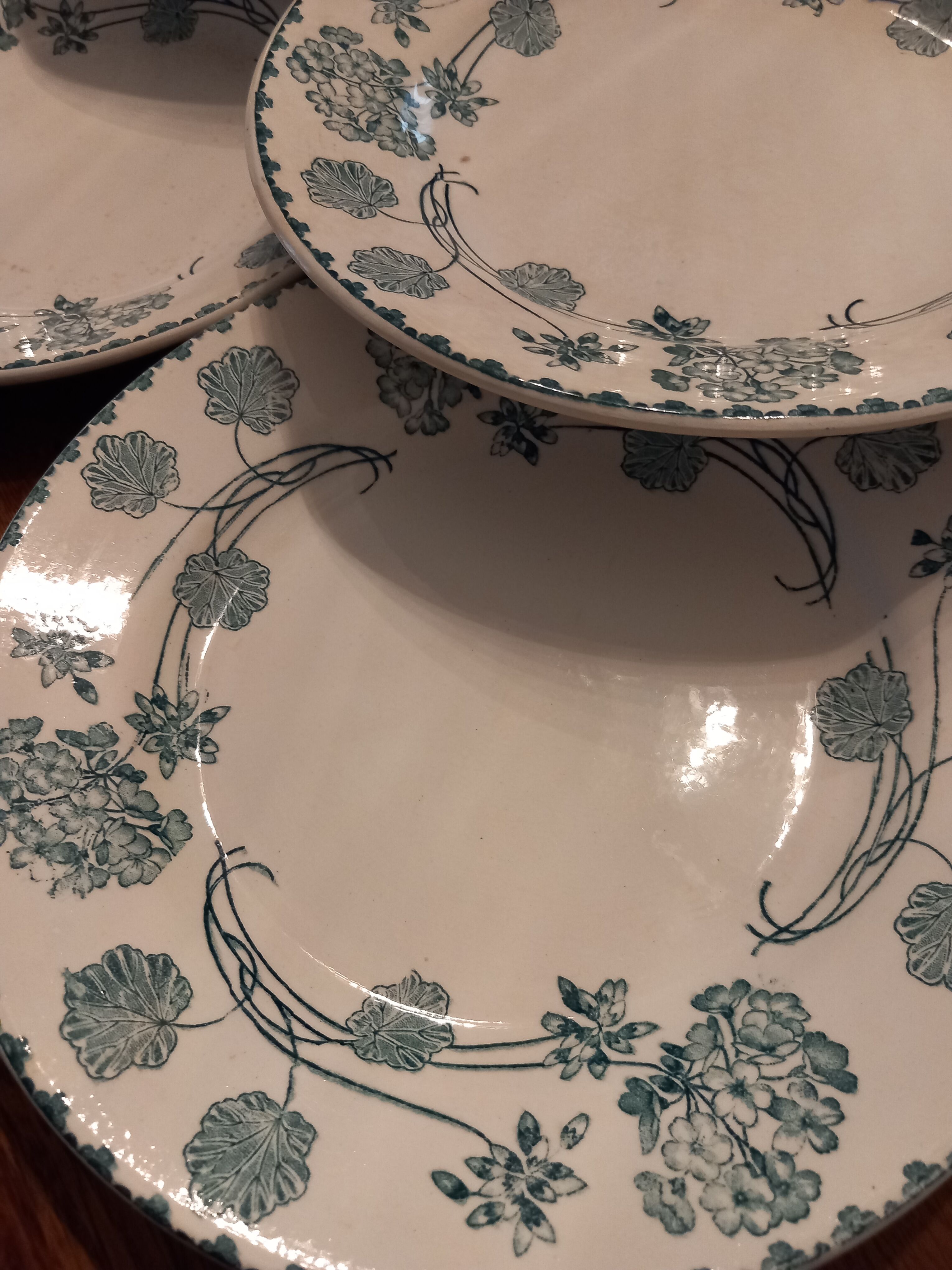8 plates "flat" iron earth. Geranium.sarreguemine