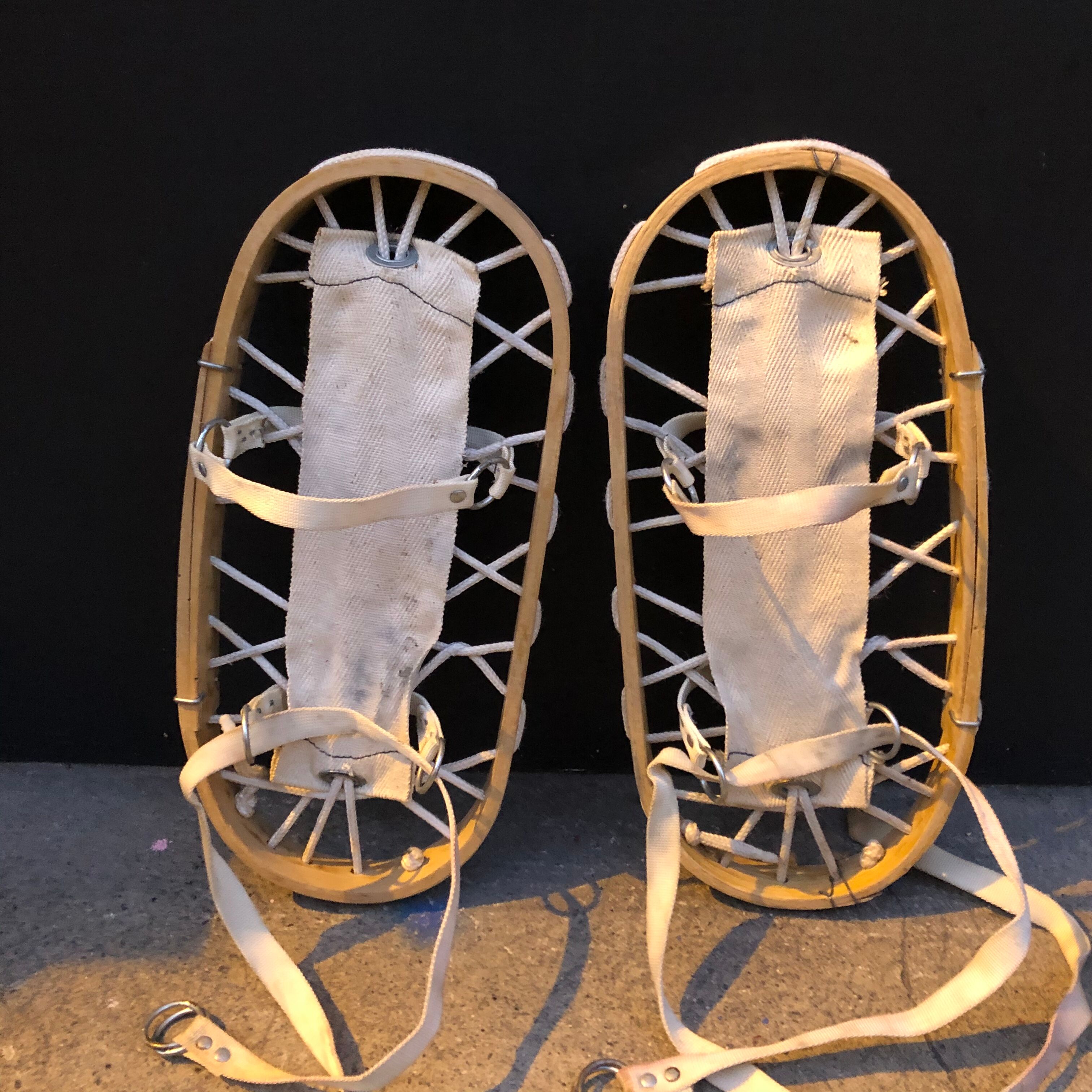 Snowshoe