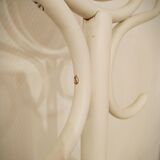 Psyche mirror parrot in curved wood