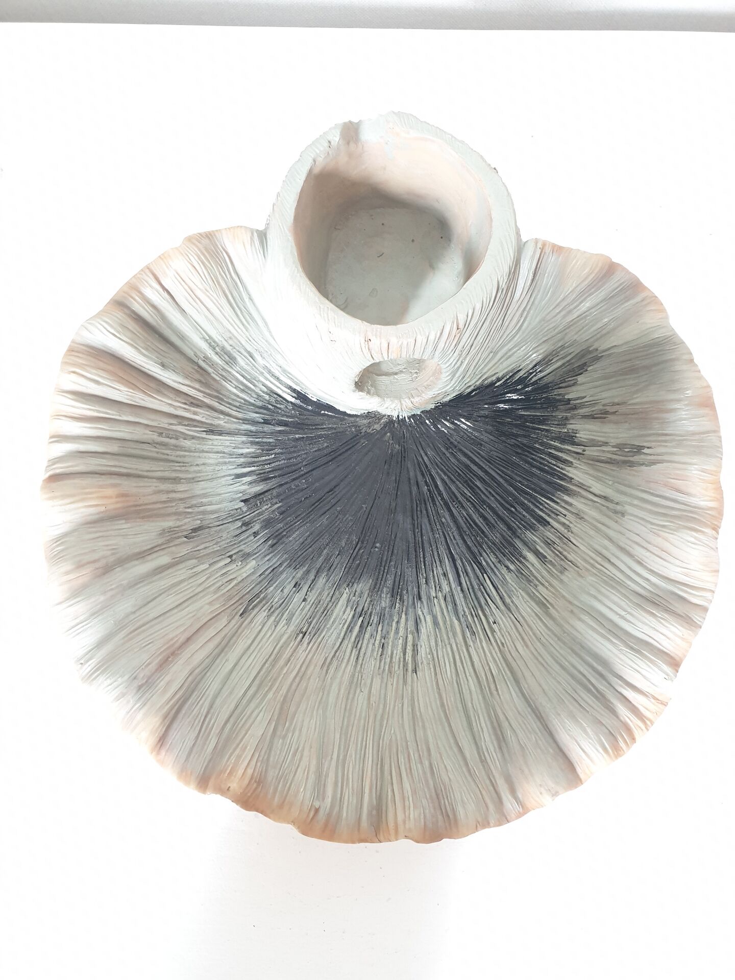 Vasque Coquillage Effet-Mer