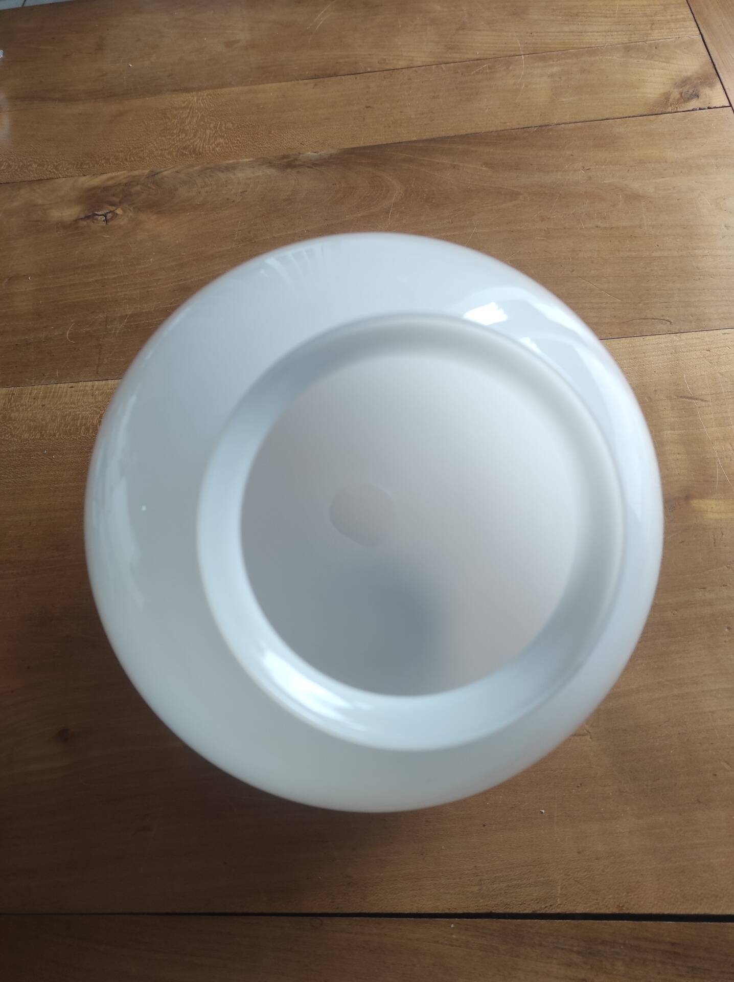 Opaline glass globe with a diameter of 20 cm.