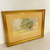 Aquarelle du 19ème Siècle dans un Cadre Doré