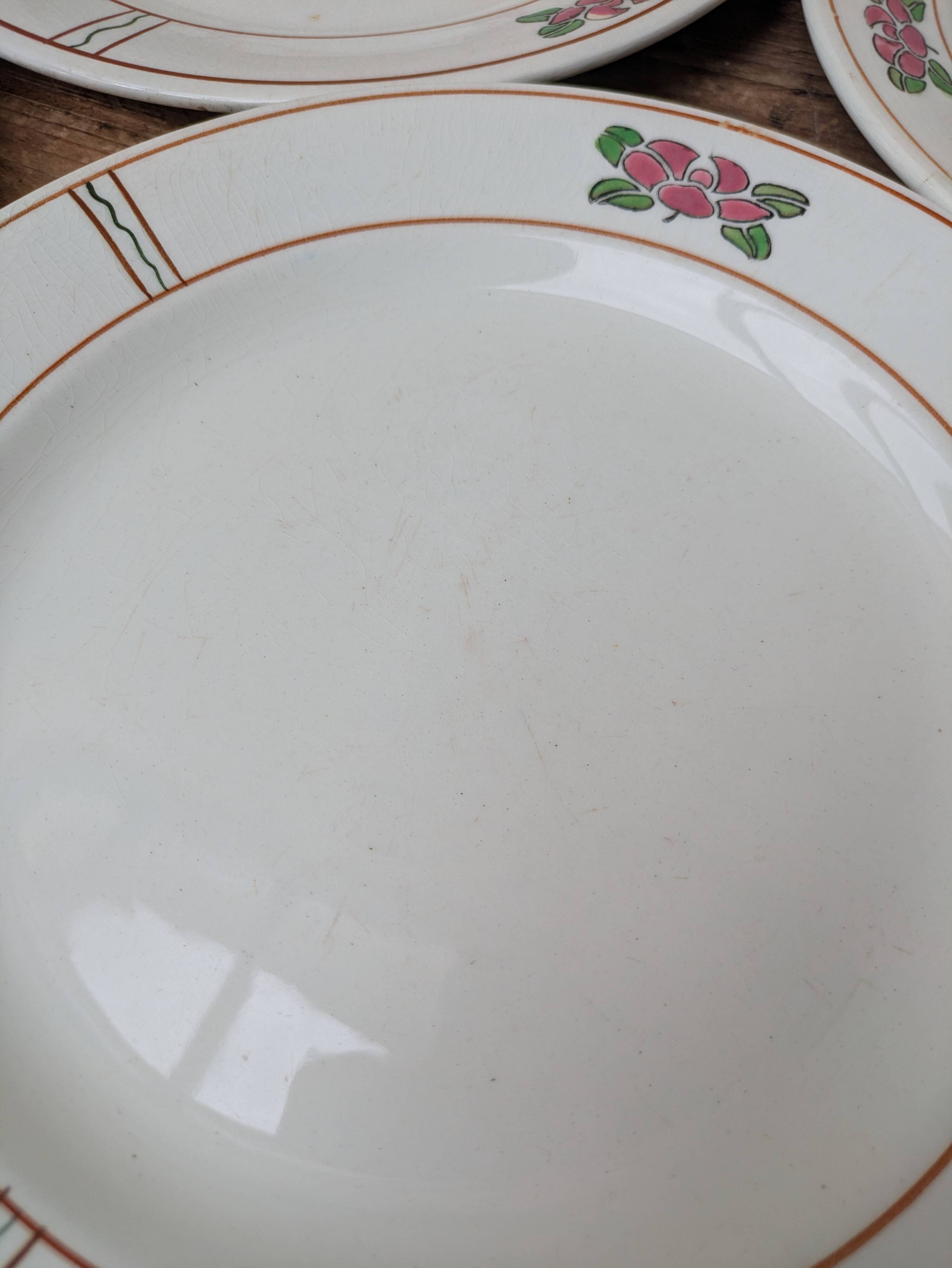 9 old flat plates in Salins ironstone model Nénuphar 24.5cm