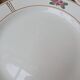 9 old flat plates in Salins ironstone model Nénuphar 24.5cm
