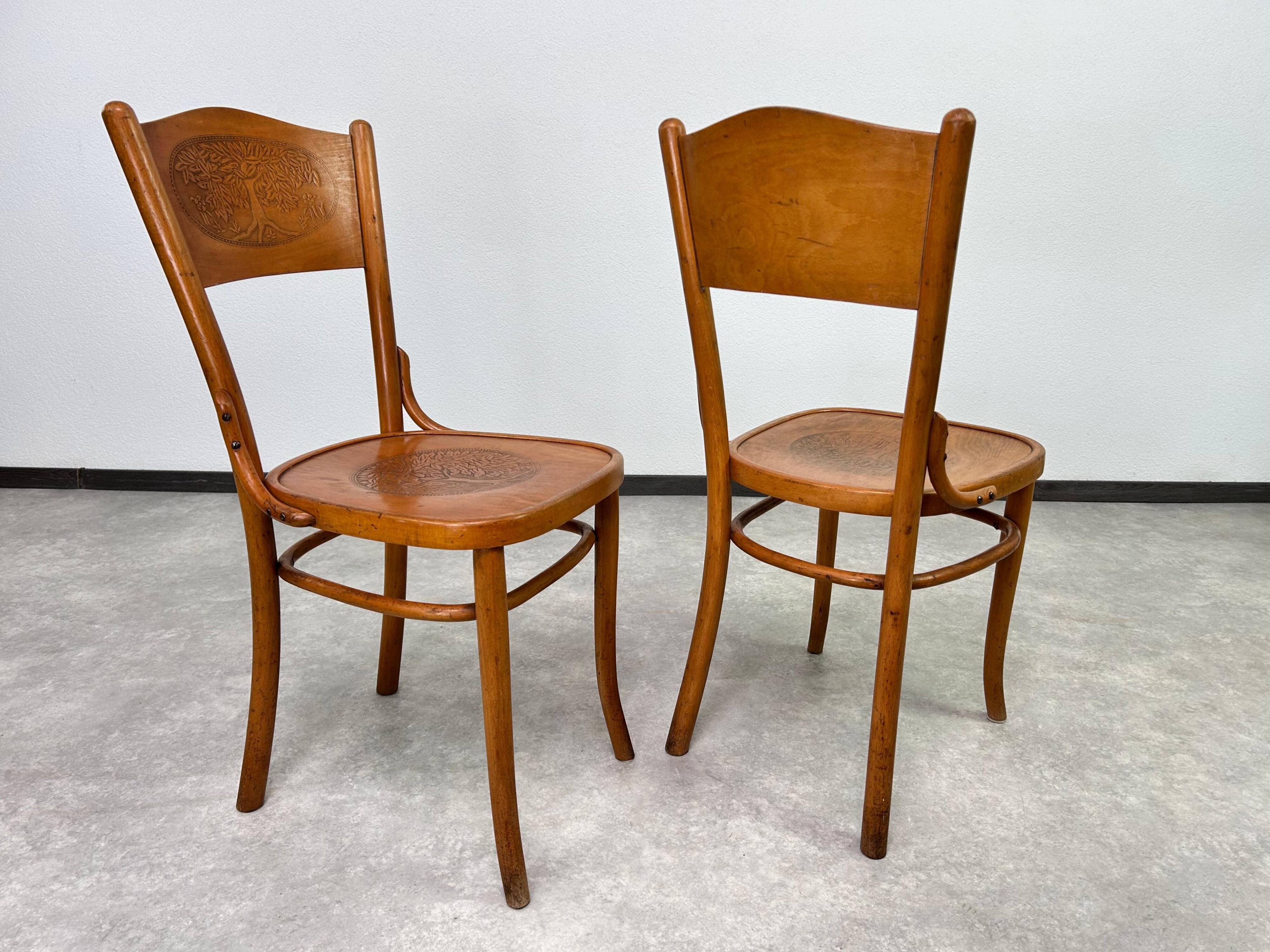 Bentwood dining chairs by Thonet