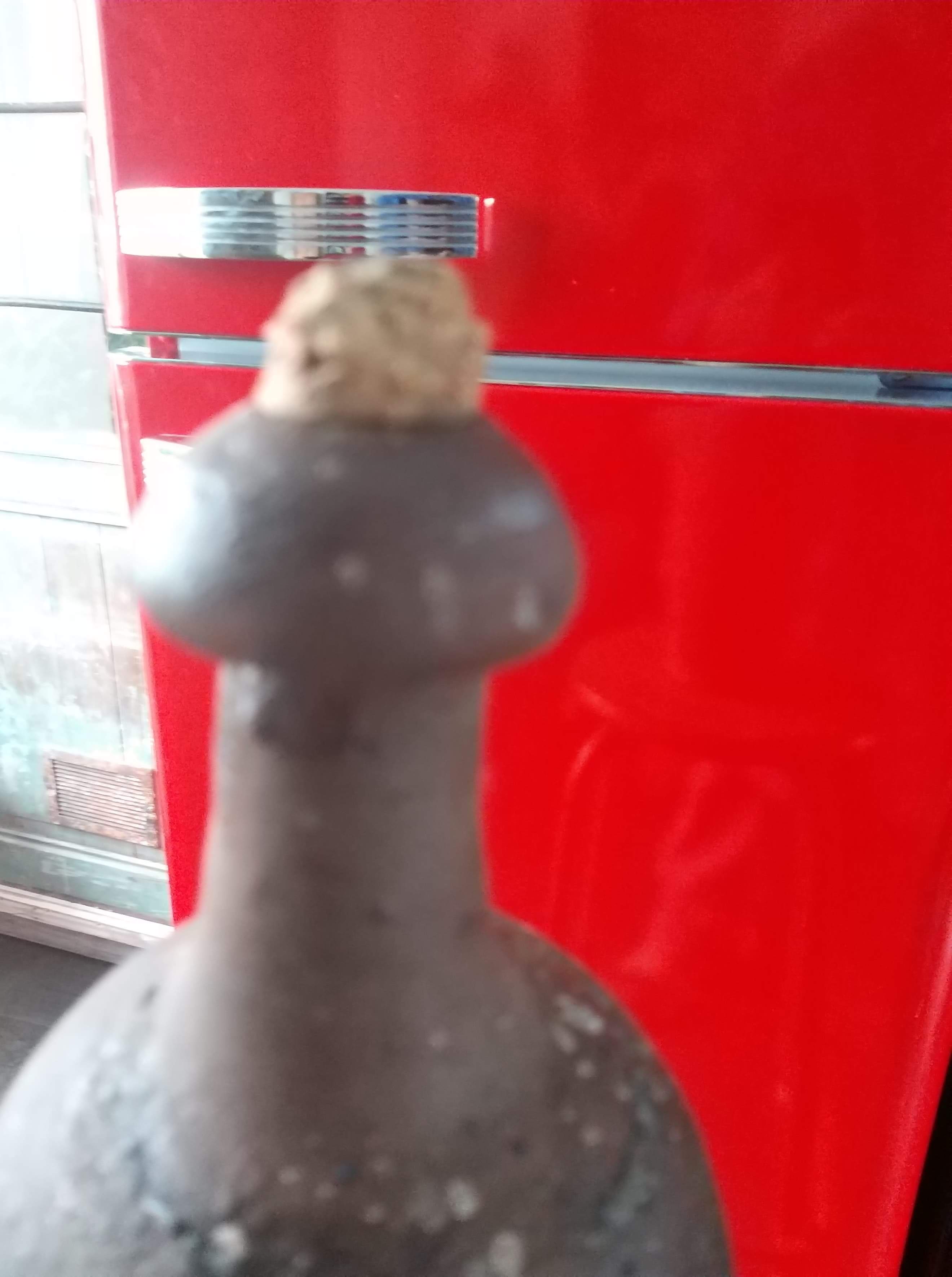 Bottle in earth
